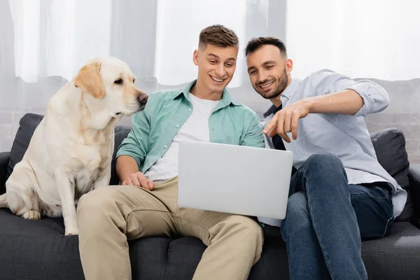 Glückliches gleichgeschlechtliches Paar schaut Film auf Laptop neben Hund im Wohnzimmer — Stockfoto