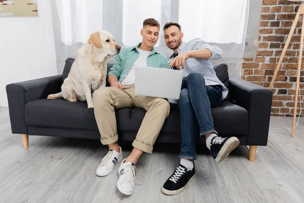 Alegre mismo sexo pareja viendo película en portátil cerca labrador en sala de estar - foto de stock