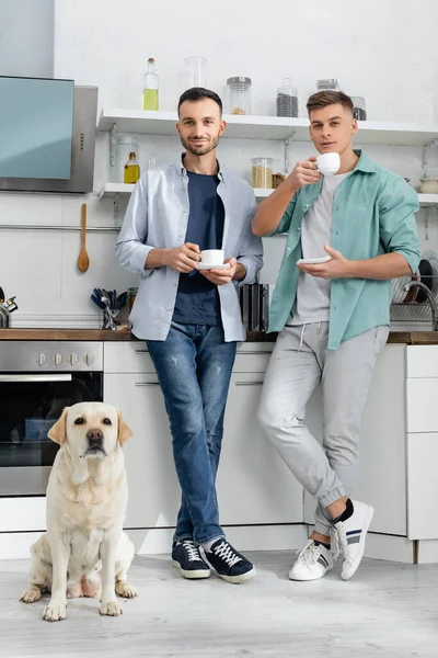 Volle Länge glücklicher homosexueller Männer, die Tassen in der Hand halten und neben Hund in der Küche stehen — Stockfoto