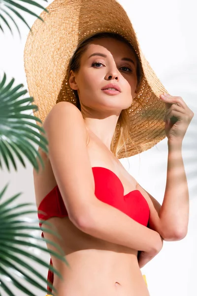 Jeune femme touchant chapeau de paille tout en regardant la caméra près de feuilles de palmier floues sur blanc — Photo de stock