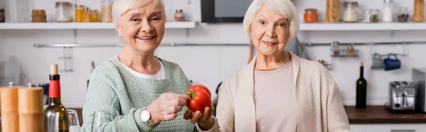 Fröhliche Seniorin mit frischem Paprika in der Nähe ihres Freundes im Ruhestand, Transparent — Stockfoto