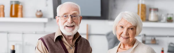 Feliz pareja de ancianos sonriendo mientras mira a la cámara, pancarta - foto de stock