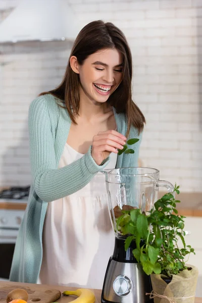 Schwangere lacht, während sie Minzblätter in den Mixer gibt — Stockfoto