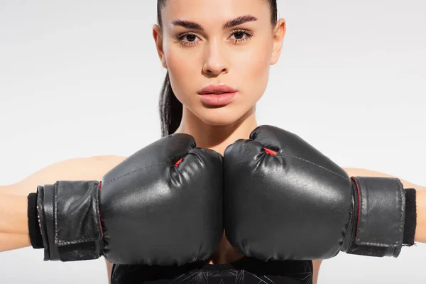 Morena joven deportista en guantes de boxeo aislados en gris - foto de stock