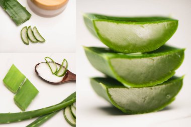 collage of cut aloe vera leaves, wooden spoon, and container with homemade cosmetic cream on white clipart