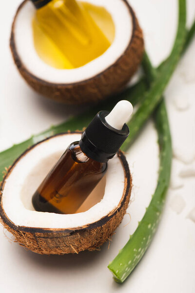 bottles of essential oils in coconut halves near aloe vera leaves on white blurred background
