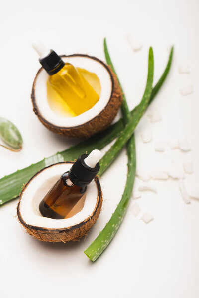 bottles with essential oil, coconut halves, flakes, and aloe vera leaves on white blurred background
