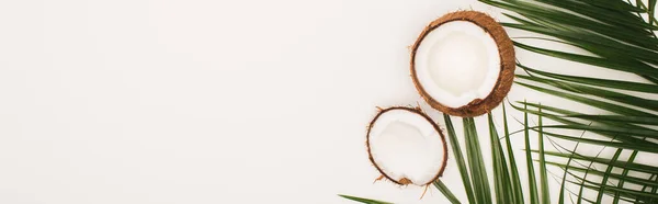 Top View Coconut Halves Palm Leaves White Background Copy Space — Stock Photo, Image