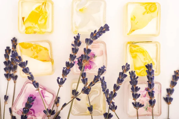 top view of transparent fruit and floral ice cubes with lavender flowers on white background