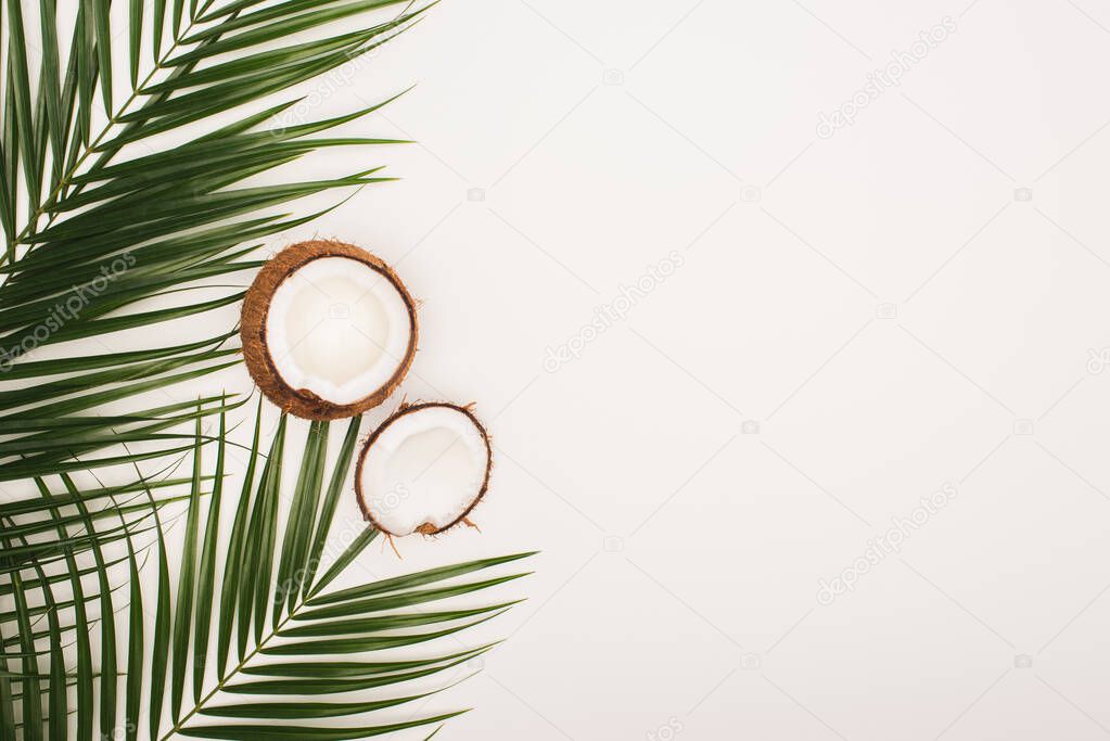 top view of coconut halves near palm leaves on white background with copy space