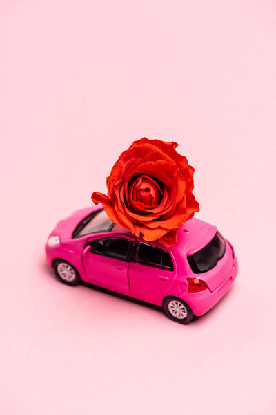 игрушечный автомобиль и красная роза на розовом фоне