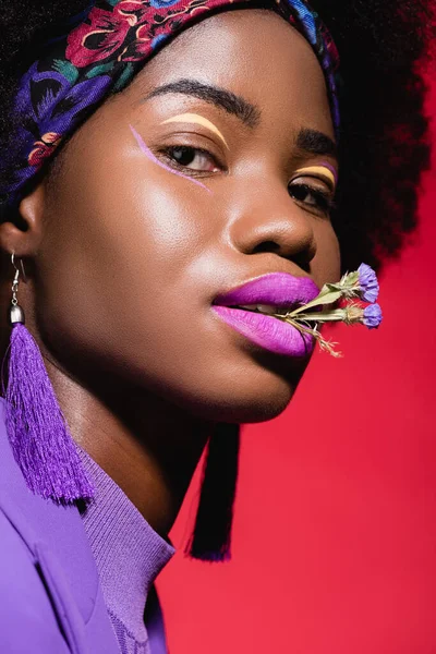 African American Young Woman Purple Stylish Outfit Flower Mouth Isolated — Stock Photo, Image