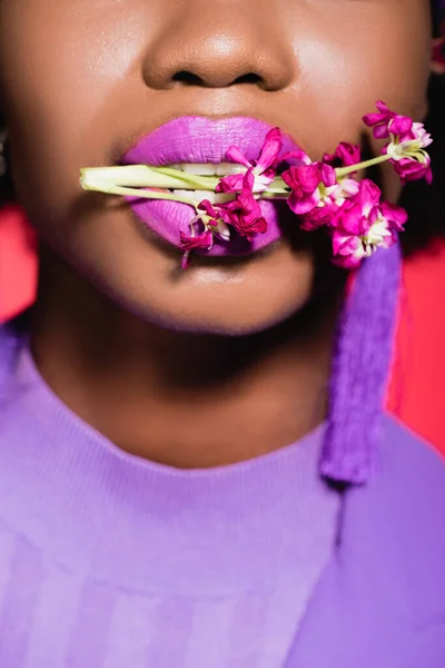 Cropped View African American Young Woman Flower Mouth Isolated Red — Stock Photo, Image
