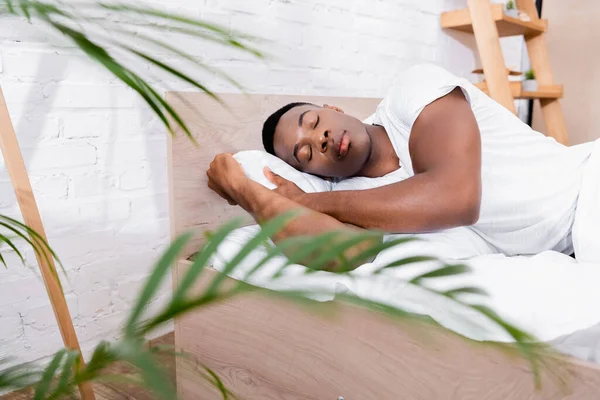 Hombre Afroamericano Durmiendo Cama Cerca Planta Primer Plano Borroso — Foto de Stock