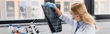 Tıbbi maskeli bilim adamı laboratuvarda röntgen ve afişe bakıyor.