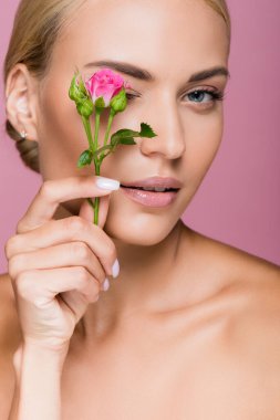 Güzel, sarışın bir kadın. Mükemmel bir teni ve pembe bir gül çiçeği var.