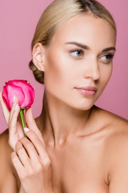 Güzel, sarışın bir kadın. Mükemmel bir teni ve pembe bir gül çiçeği var.