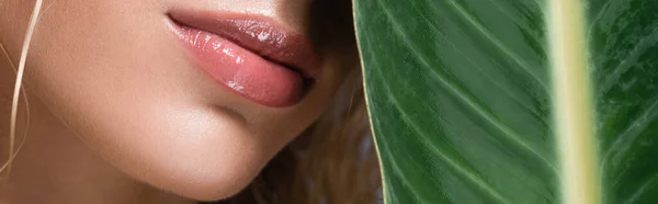 Cropped View Blonde Woman Wet Hair Green Leaf Banner — Stock Photo, Image