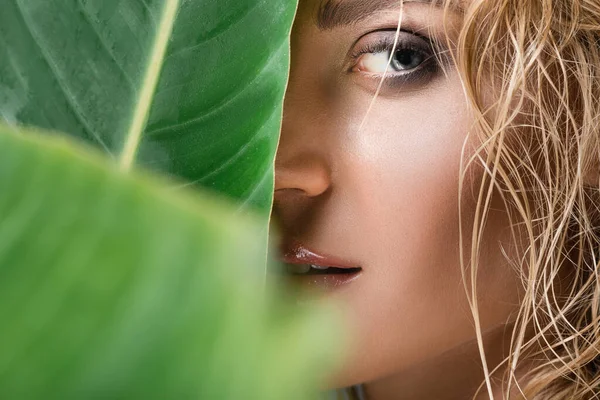 Nahaufnahme Einer Blonden Frau Mit Nassen Haaren Und Grünem Blatt — Stockfoto