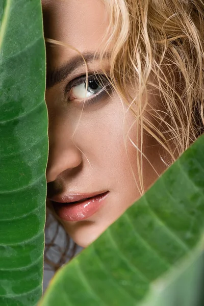 Närbild Blond Kvinna Med Vått Hår Och Gröna Blad — Stockfoto