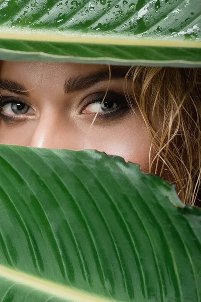 Närbild Blond Kvinna Med Vått Hår Och Gröna Blad — Stockfoto