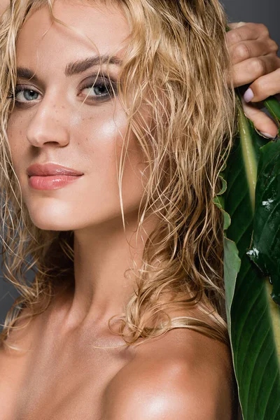 blonde woman with wet hair and green leaf isolated on grey