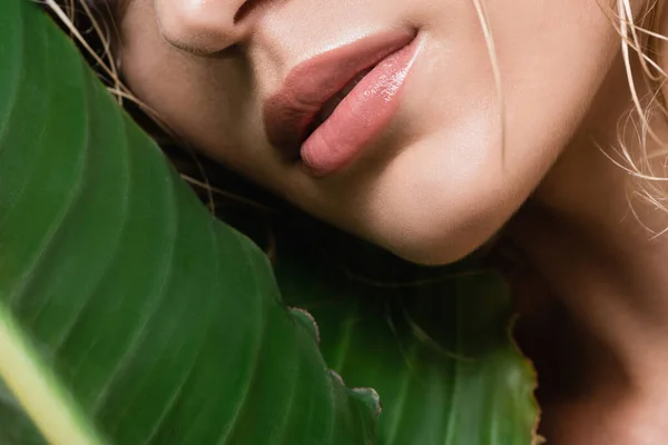 Cropped View Blonde Woman Wet Hair Green Leaf — Stock Photo, Image