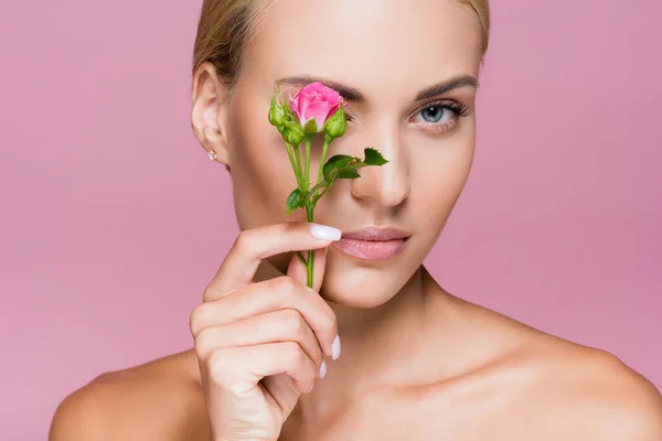 Mooie Blonde Vrouw Met Perfecte Huid Roos Bloem Geïsoleerd Roze — Stockfoto