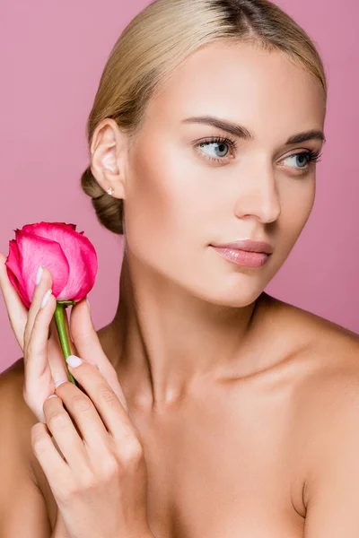 Hermosa Mujer Rubia Con Piel Perfecta Flor Rosa Aislado Rosa — Foto de Stock