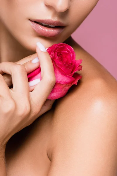 Beskärd Utsikt Över Kvinna Med Ros Blomma Isolerad Rosa — Stockfoto