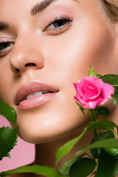 美丽的金发碧眼的女人 开着玫瑰花 与粉色隔离 — 图库照片