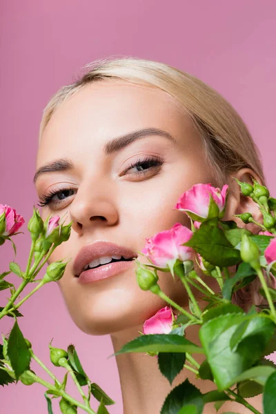 Vacker Blond Kvinna Ros Blommor Isolerad Rosa — Stockfoto