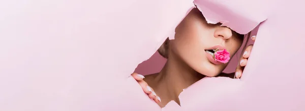 Bella Donna Con Rosa Bocca Nel Buco Carta Rosa Banner — Foto Stock