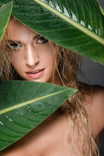 濡れた髪と緑の葉を持つブロンドの女性 — ストック写真