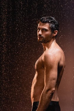 sexy shirtless man looking at camera under falling raindrops on dark background clipart