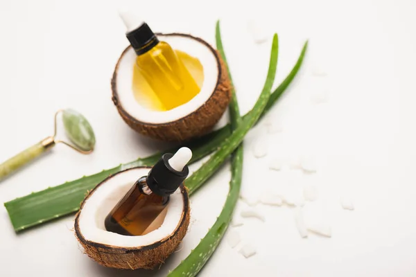 Bottles with essential oil, jade roller, coconut halves and flakes near aloe vera leaves on white blurred background — Stock Photo