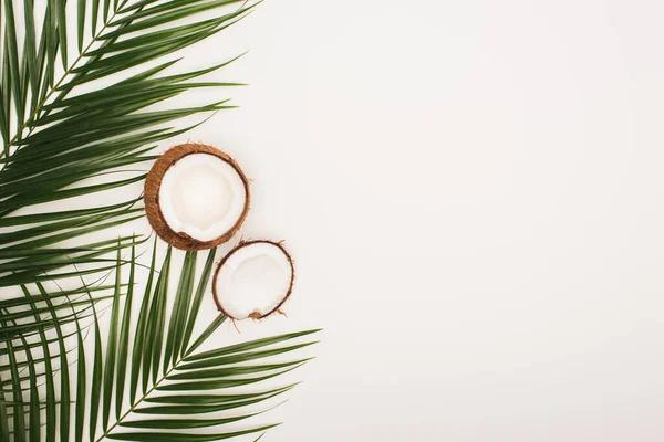 Vista superior de metades de coco perto de folhas de palma no fundo branco com espaço de cópia — Fotografia de Stock