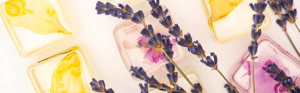 Vue de dessus des fleurs de lavande sur les cubes de glace à base de plantes et de fruits sur blanc, bannière — Photo de stock