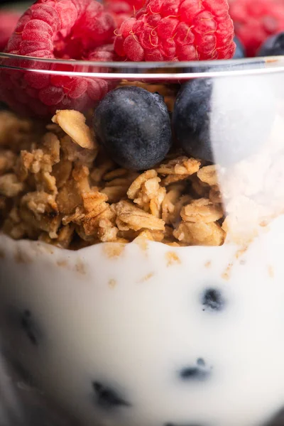 Close-up de granola deliciosa com bagas e iogurte em copo de vidro — Fotografia de Stock