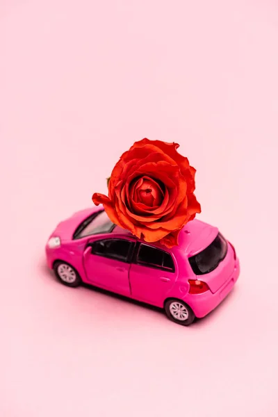 Toy car and red rose on pink background — Stock Photo