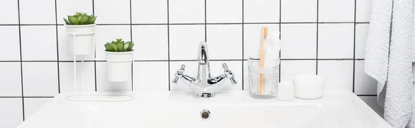 Piante e dentifricio con spazzolino su lavabo in bagno moderno, banner — Foto stock
