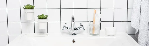 Plants and toothpaste with toothbrush on sink in modern bathroom, banner — Stock Photo