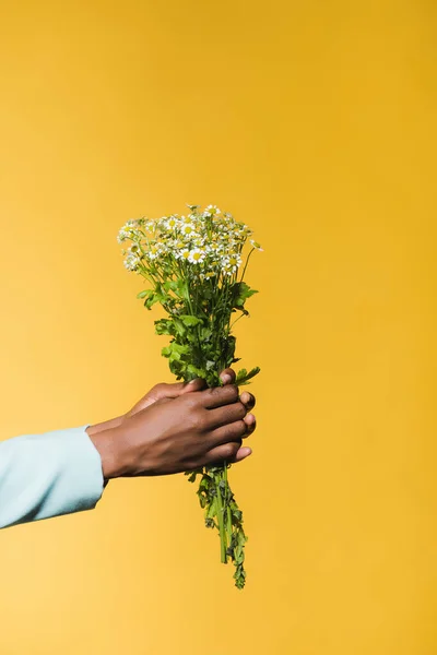 Vue recadrée de jeune femme afro-américaine avec bouquet de camomille isolé sur jaune — Photo de stock
