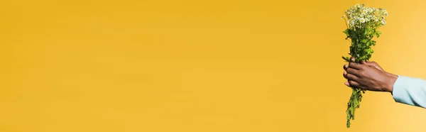 Vista cortada da jovem americana africana com buquê de camomila isolado em amarelo, banner — Fotografia de Stock