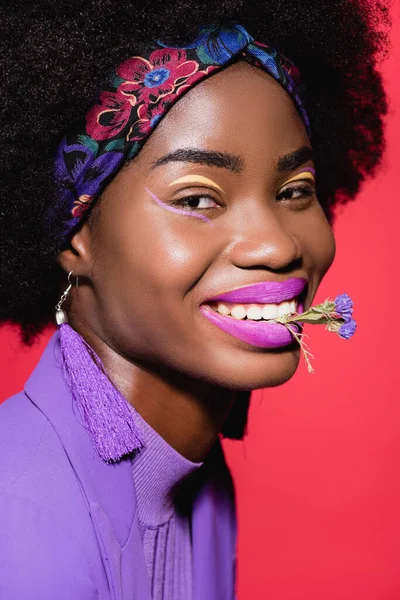 Sorridente Africano americano jovem mulher em roupa elegante roxo com flor na boca isolado no vermelho — Fotografia de Stock