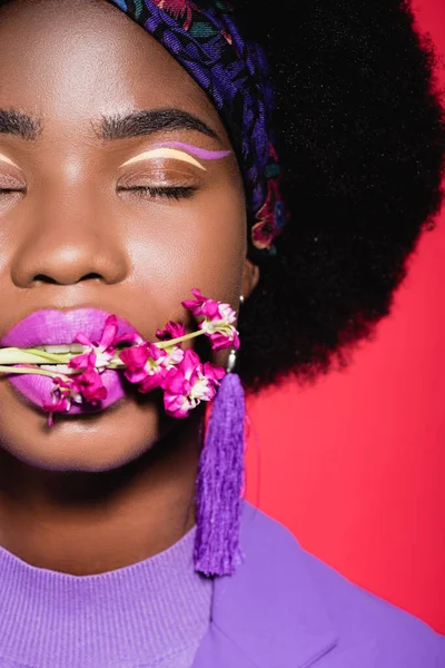 Abgeschnittene Ansicht von afrikanisch-amerikanischen junge Frau in lila stilvolles Outfit mit Blume im Mund isoliert auf rot — Stockfoto