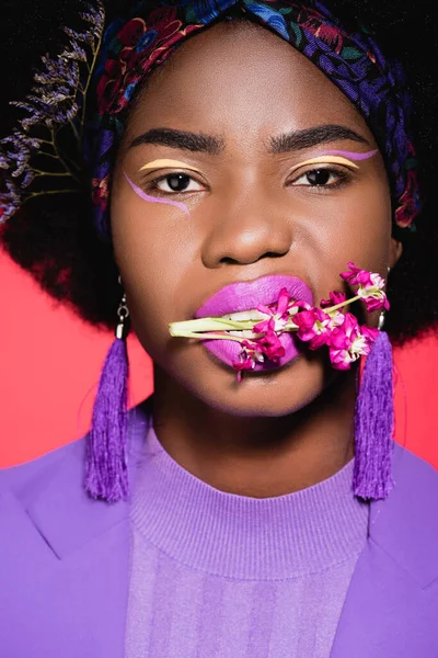 Brutal african american young woman in purple stylish outfit with flower in mouth isolated on red — Stock Photo