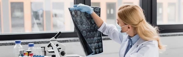Cientista em máscara médica olhando para raio-x em laboratório, banner — Fotografia de Stock