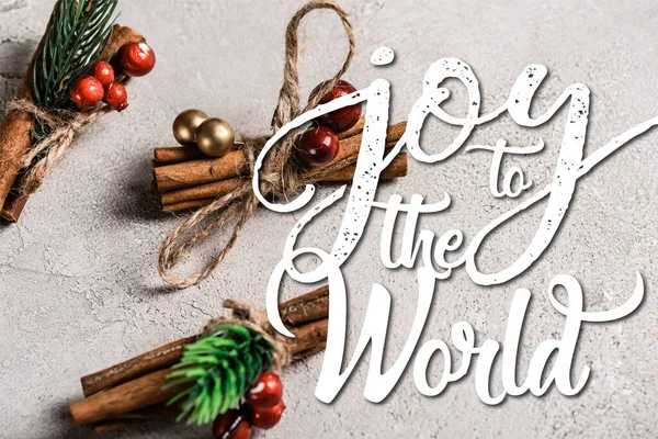 Cinnamon sticks with red beads near joy to the world lettering on textured grey background — Stock Photo