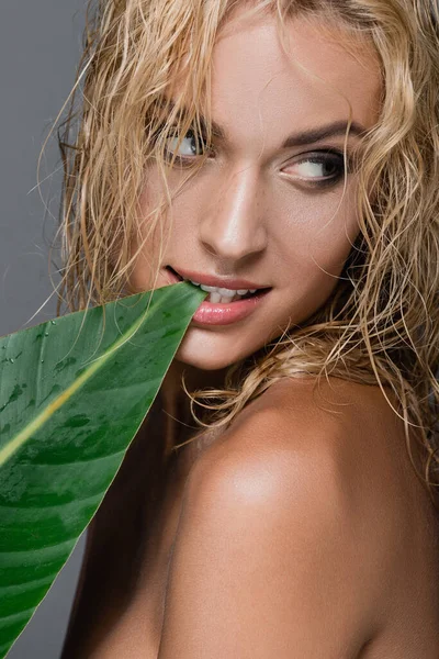 Сексуальна блондинка з мокрим волоссям і зеленим листом ізольована на сірому — стокове фото